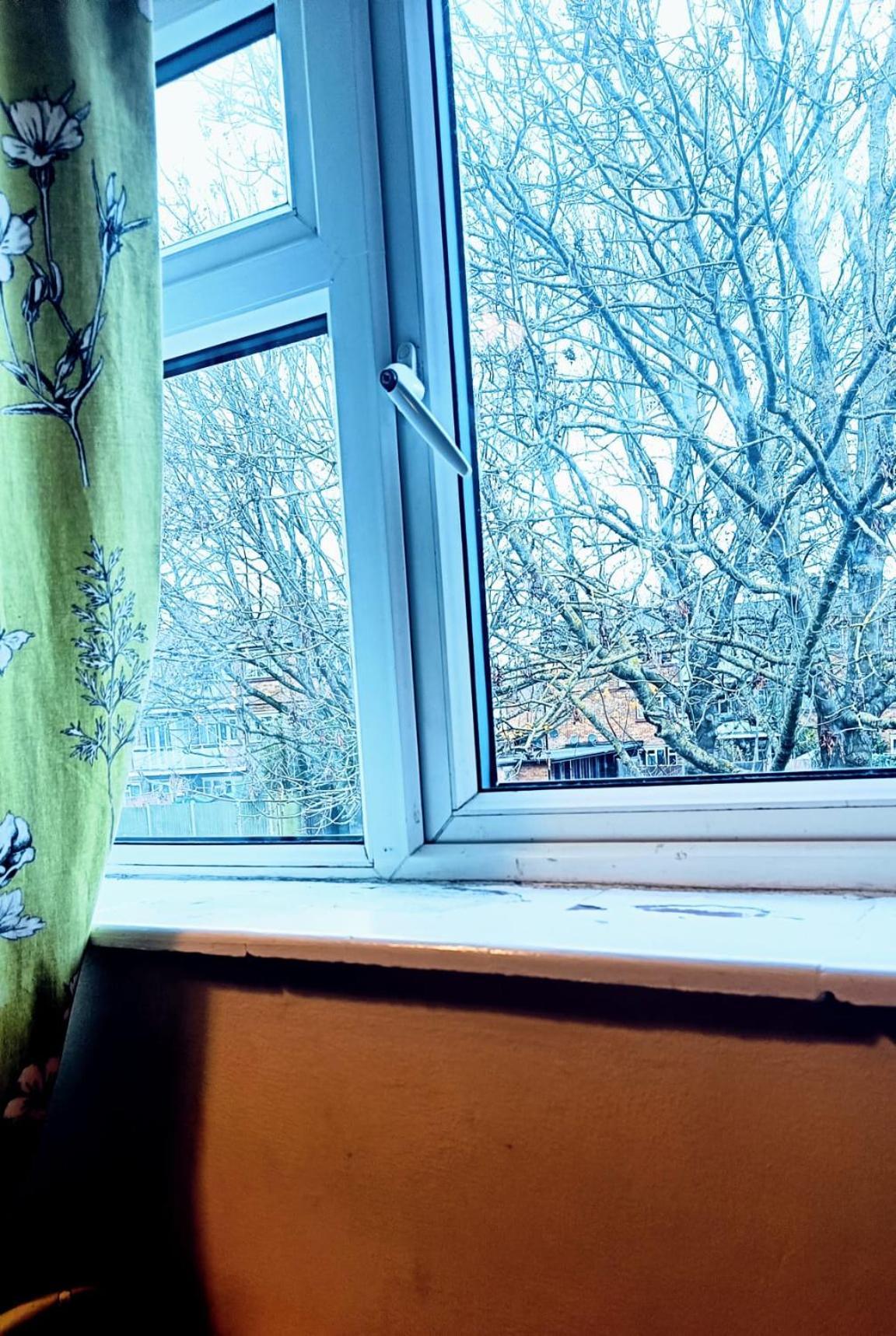 London'S Bed With Breakfast & Free Parking Apartment Екстериор снимка